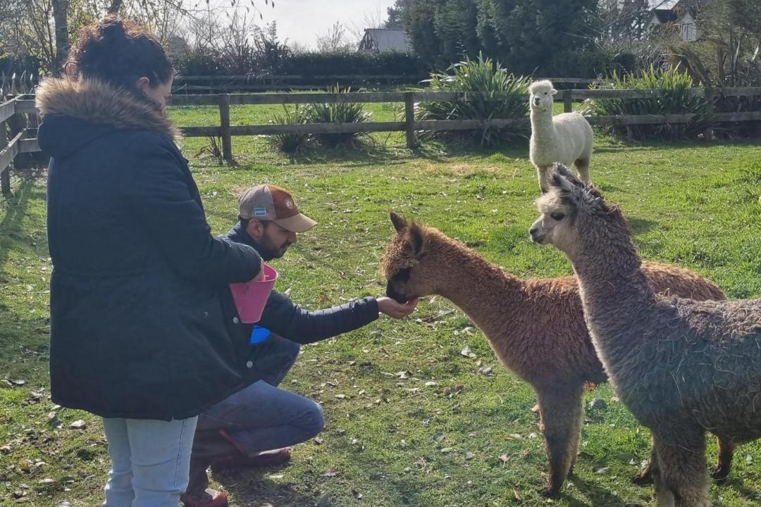 Photo of Others in Waikato District
