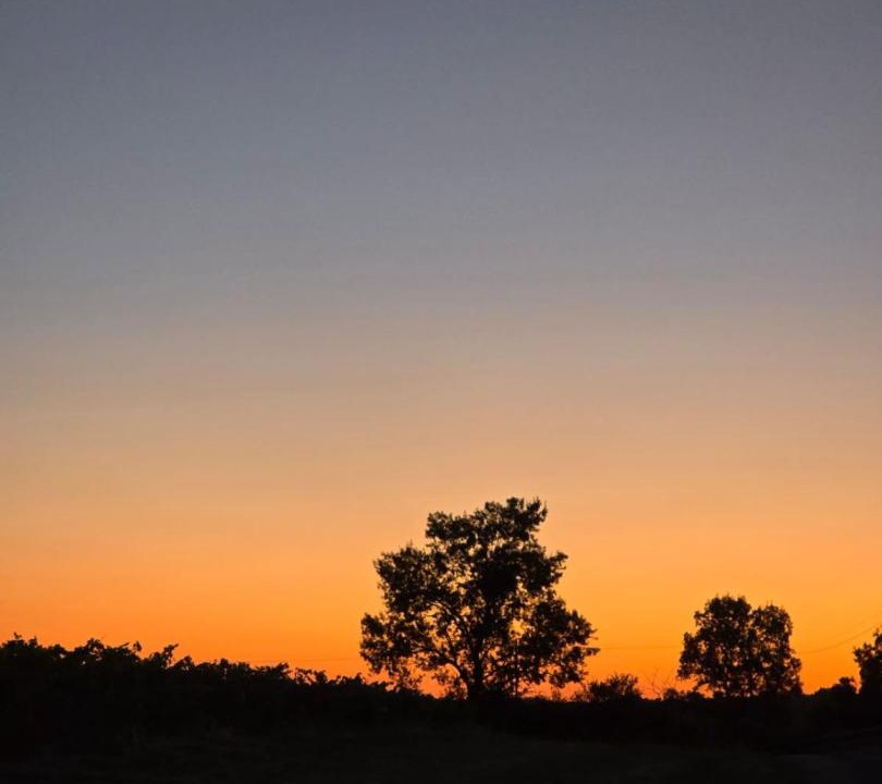 Photo of Others in Saint-Aubin-de-Luigne