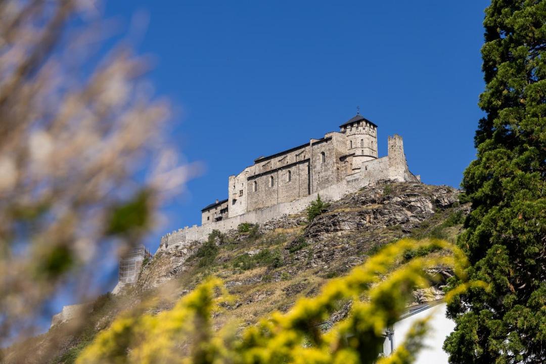 Photo of Others in Sion