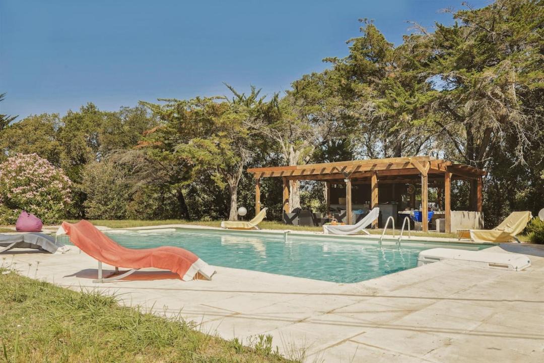 Photo of Others in Linguizzetta