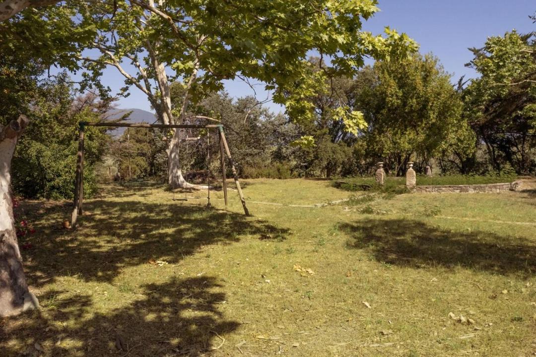 Photo of Others in Linguizzetta