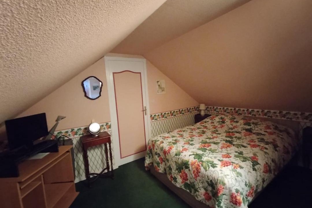 Photo of Bedroom in La Ferte-Saint-Cyr