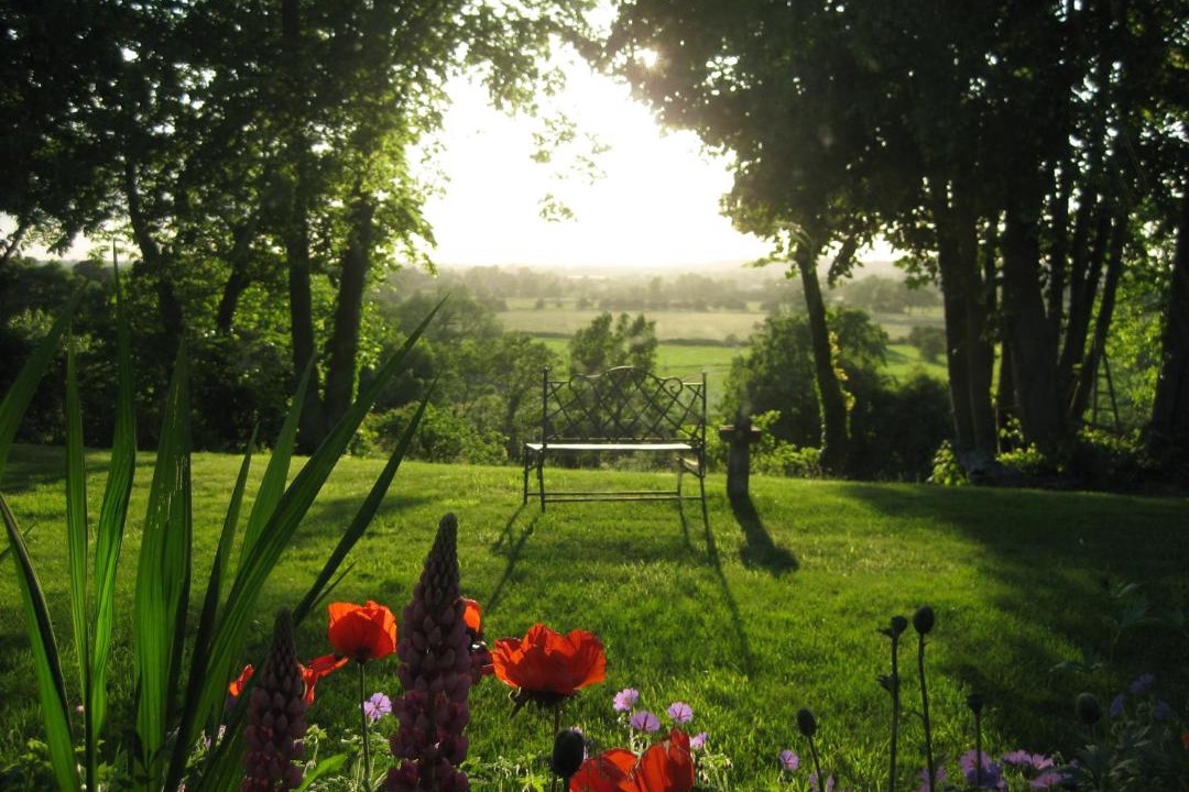 Photo of Others in Bungay