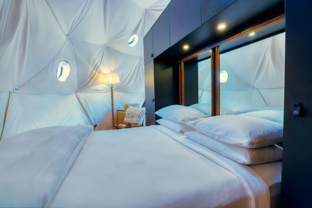 Photo of Others in Swan Lake