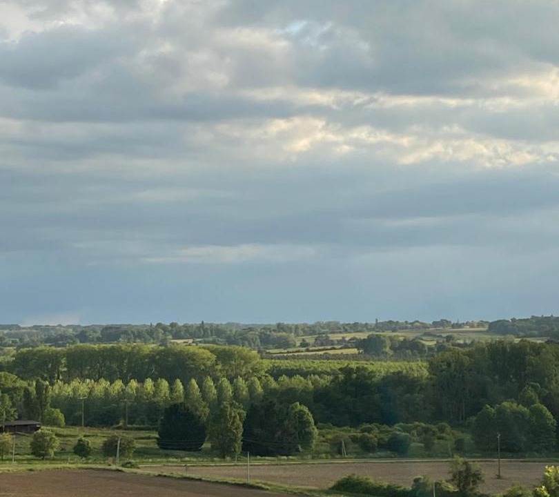 Photo of Others in Gans