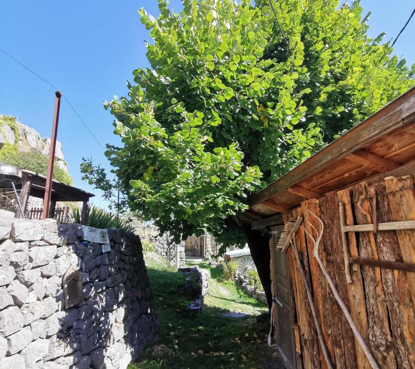 Photo of Others in Sauze