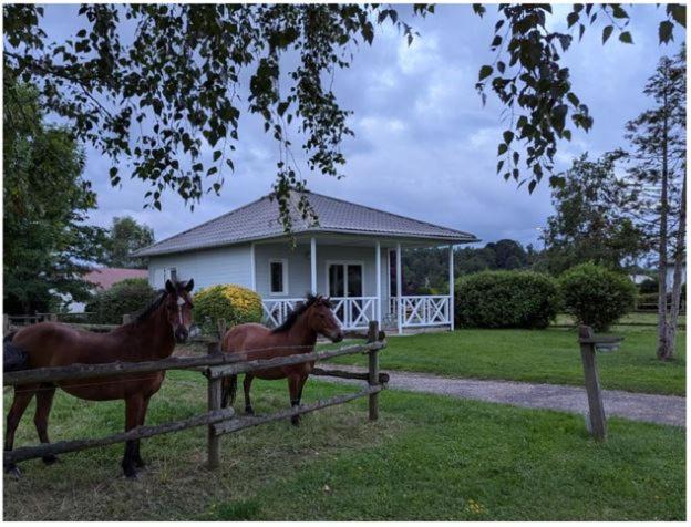 Photo of Others in Traves