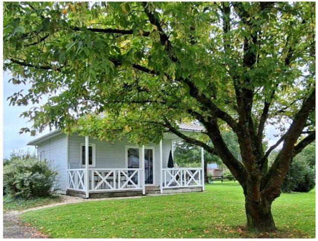 Photo of Others in Traves