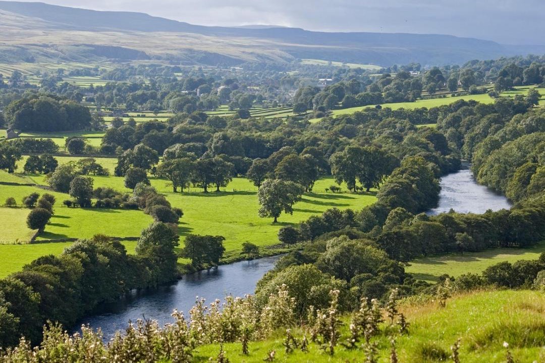 Photo of Others in Spennymoor