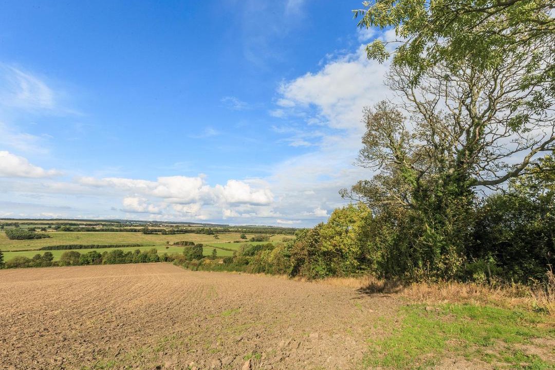 Photo of Others in Spennymoor