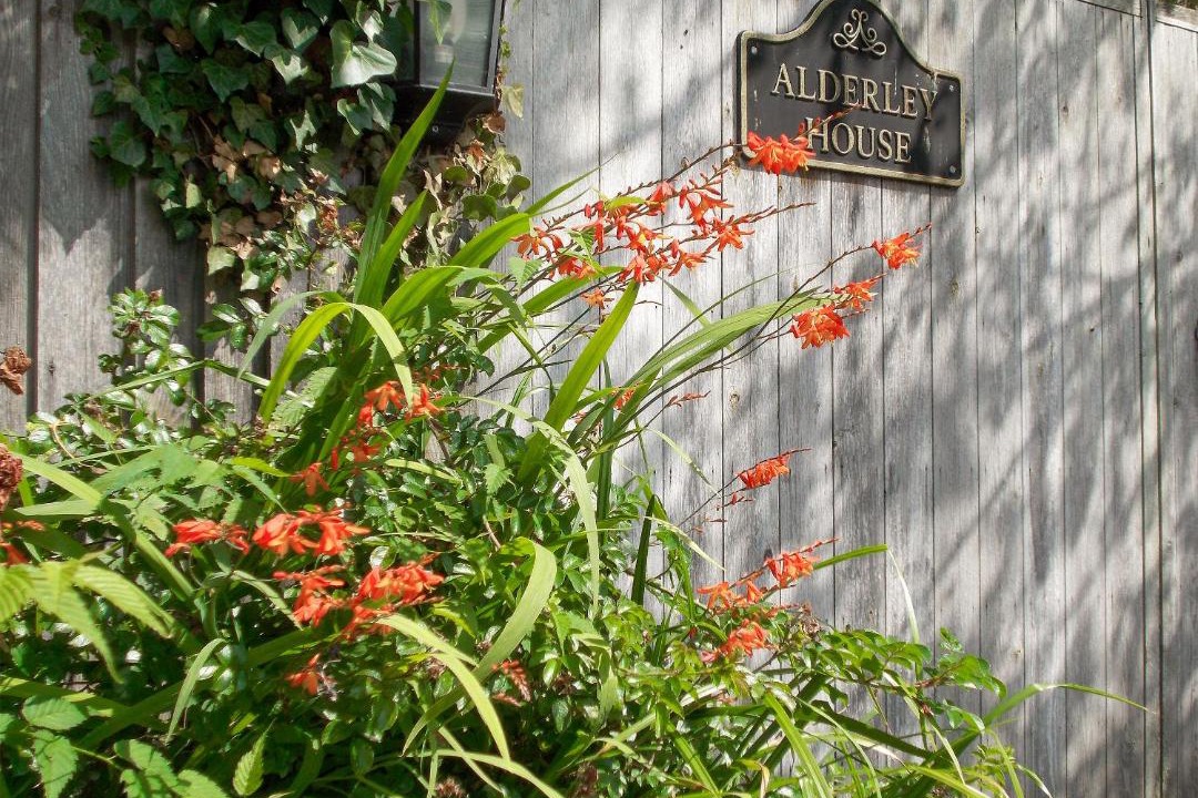 Photo of Others in Bourton-on-the-Water