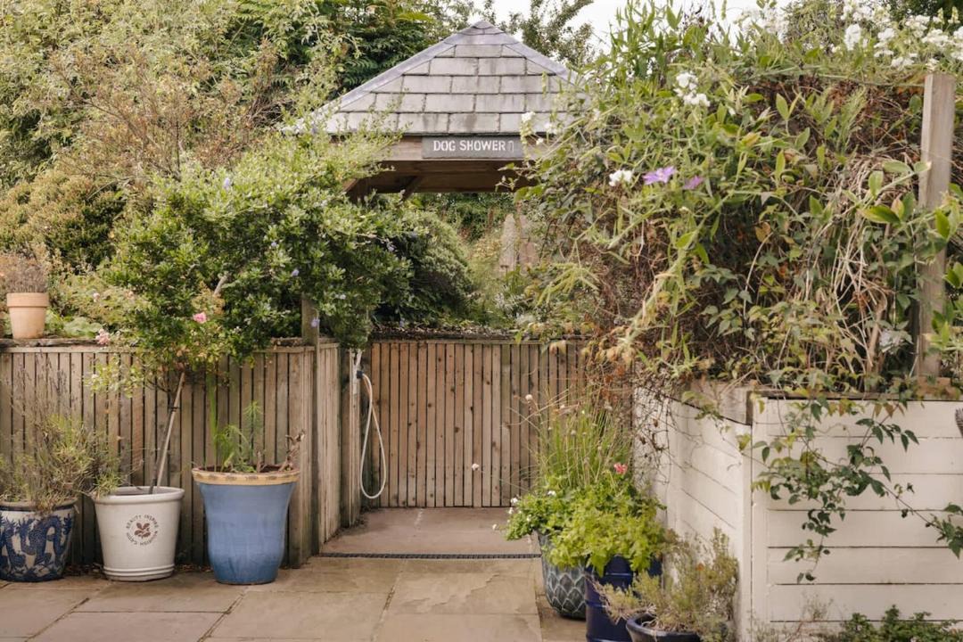 Photo of Others in Brampton