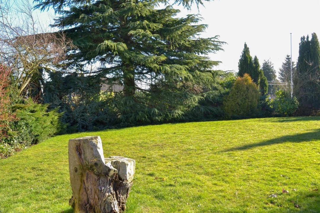 Photo of Others in Ripley