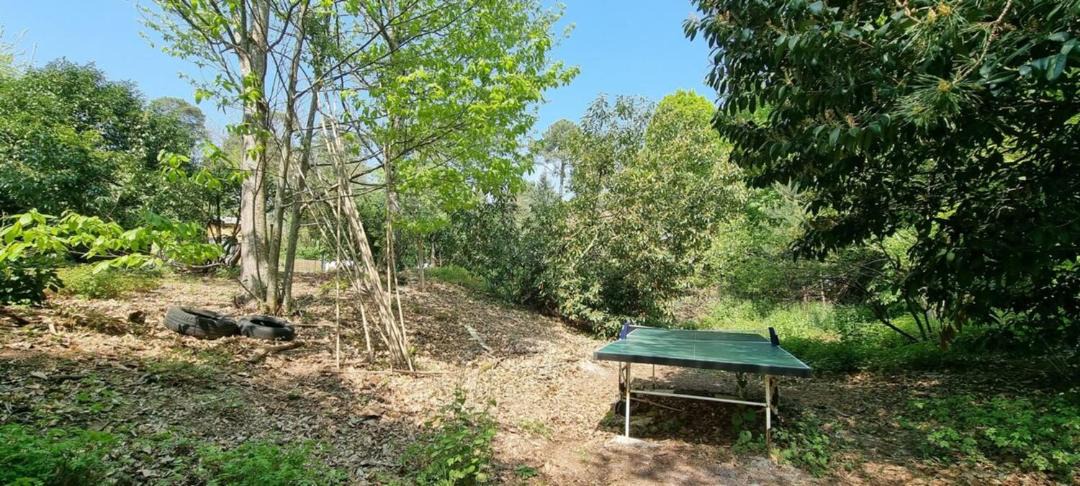 Photo of Others in Villiers-sous-Grez