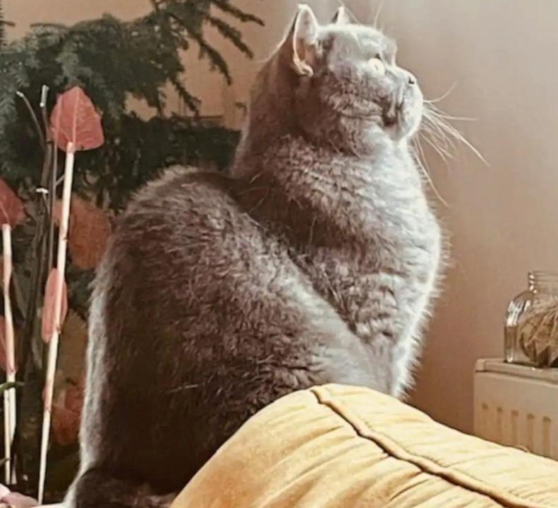 Photo of Others in Vendenheim