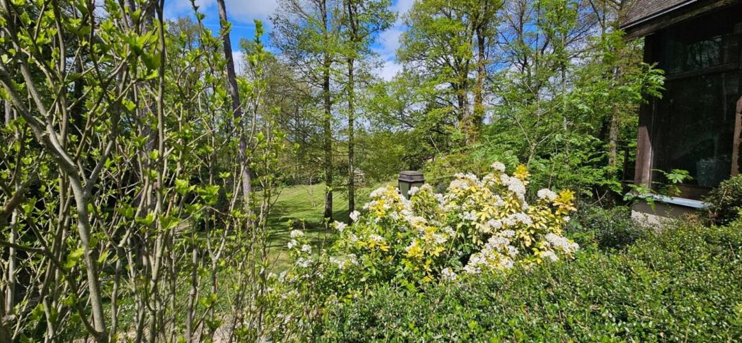 Photo of Others in Paron