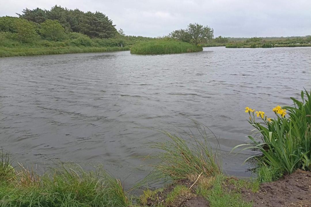 Photo of Others in Bøvlingbjerg
