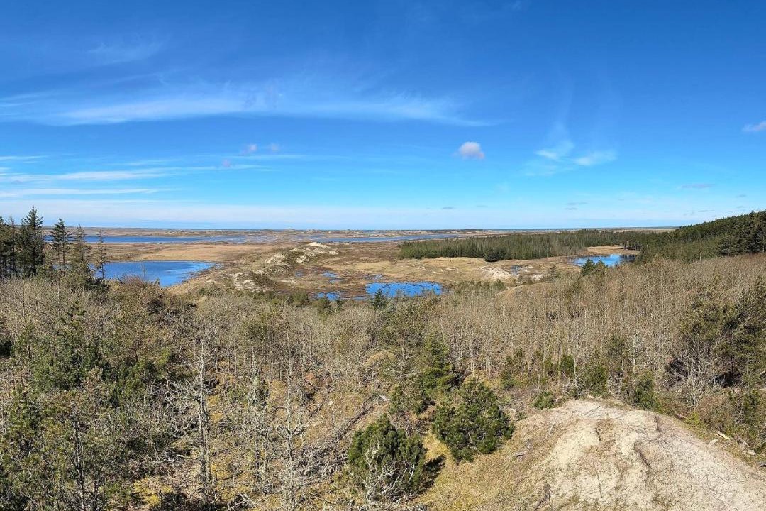 Photo of Others in Hanstholm