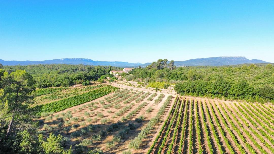 Photo of Others in Saint-Maximin-la-Sainte-Baume