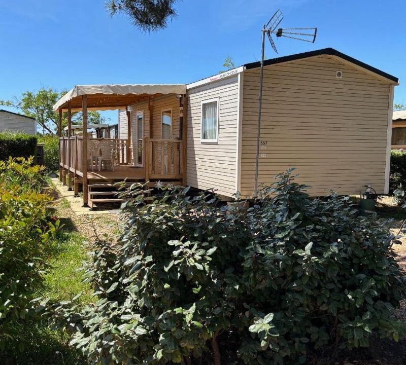 Photo of Others in Lattes