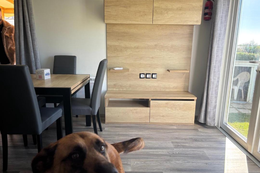 Photo of Others in Lattes