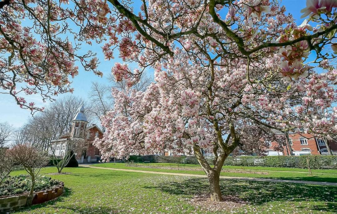 Photo of Others in Rethonvillers