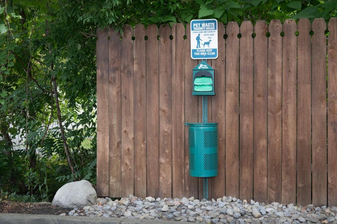 Photo of Others in Ithaca