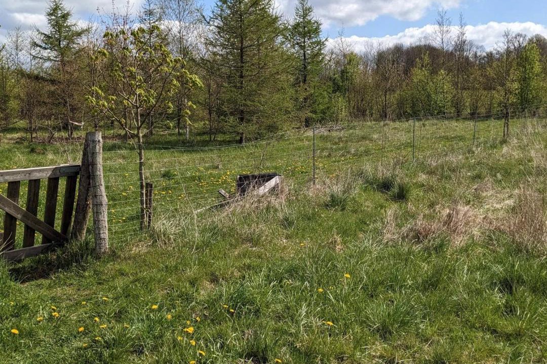 Photo of Others in Skygge