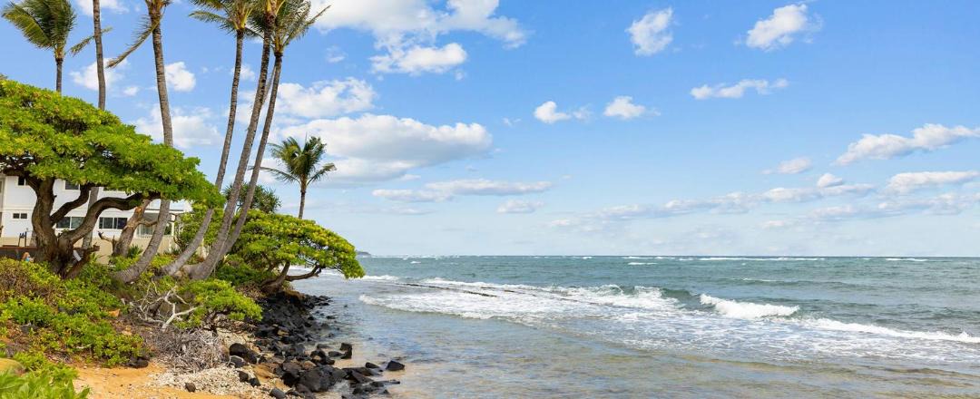 Photo of Others in Wailua