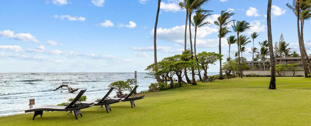 Photo of Others in Wailua