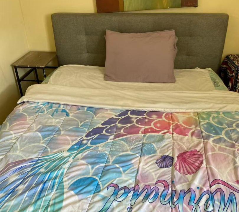 Photo of Bedroom in North Philadelphia West