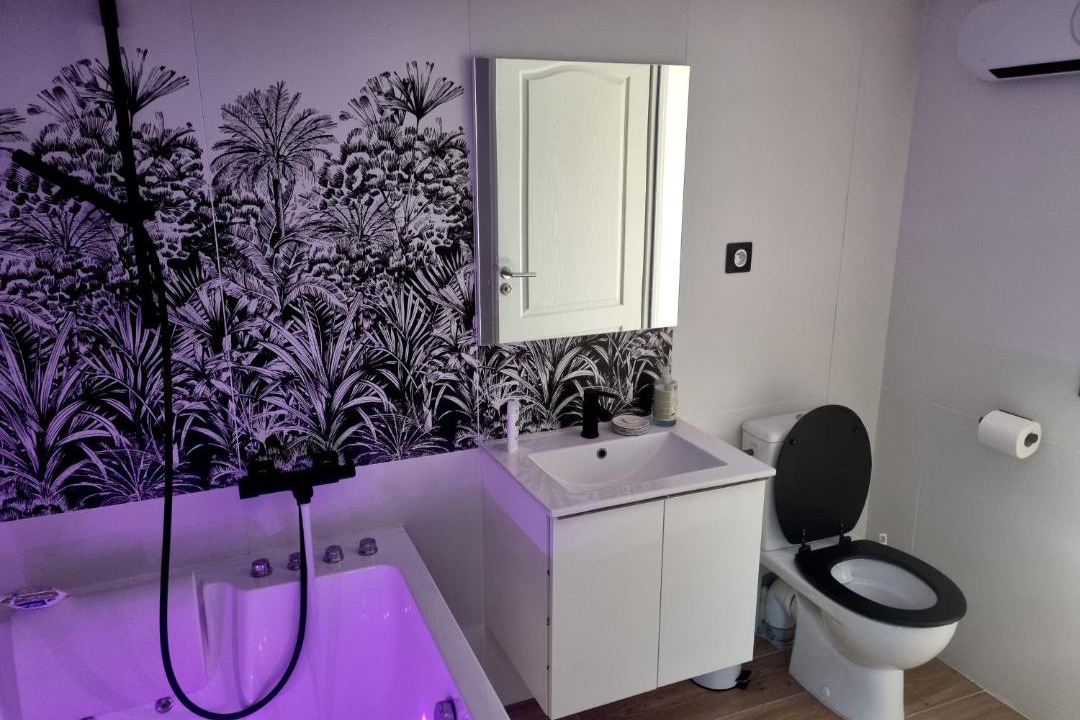Photo of Bathroom in Albi