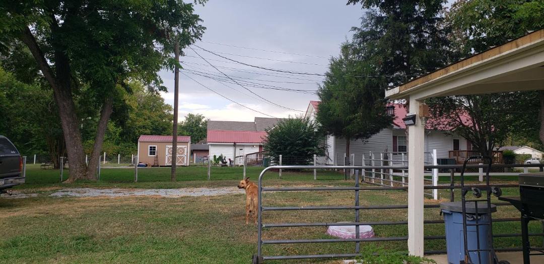 Photo of Others in Saltillo