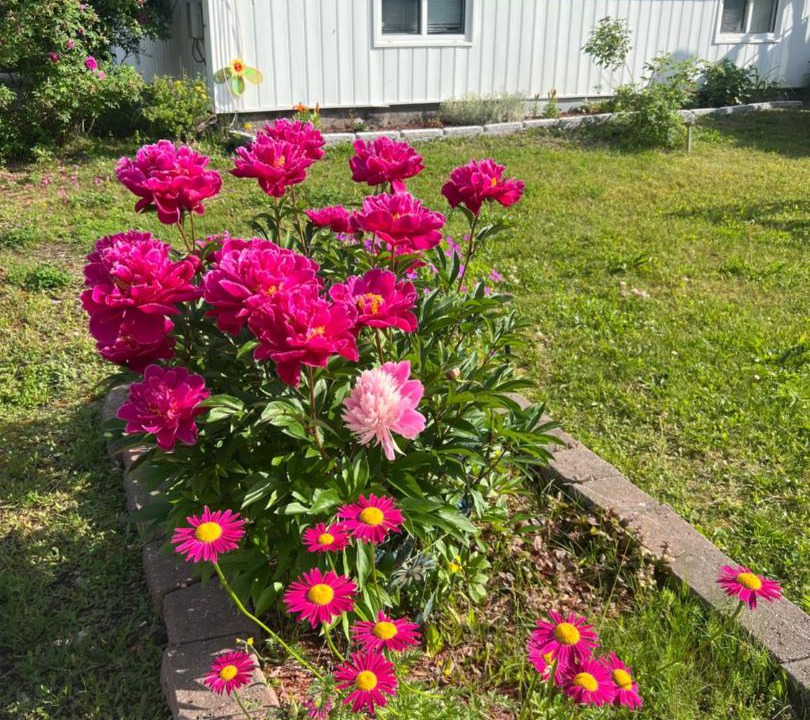 Photo of Outdoor in Burlington