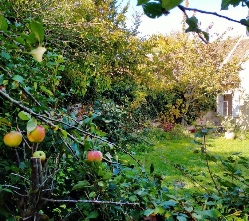 Photo of Others in Ige