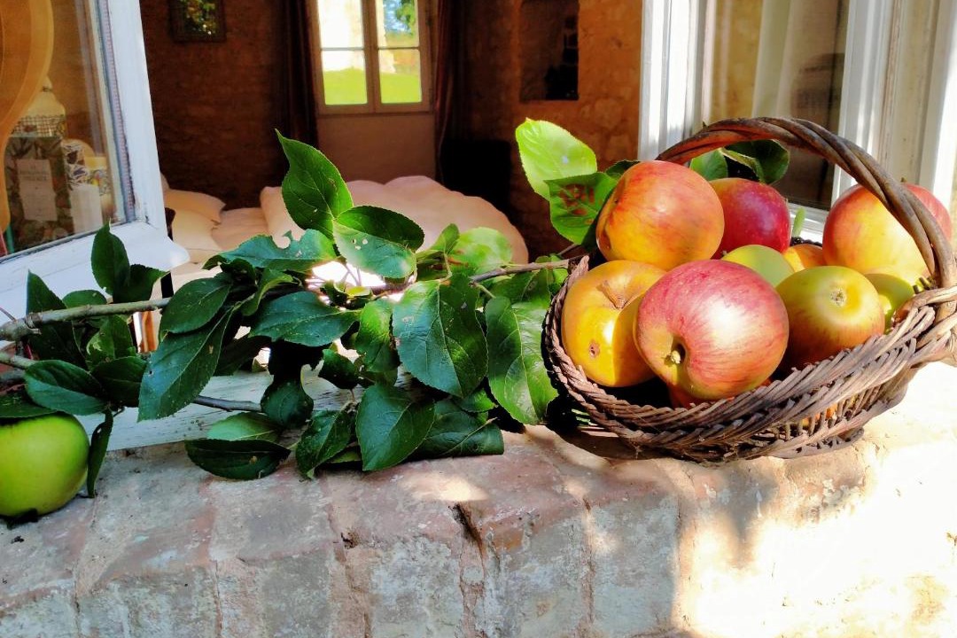 Photo of Others in Ige