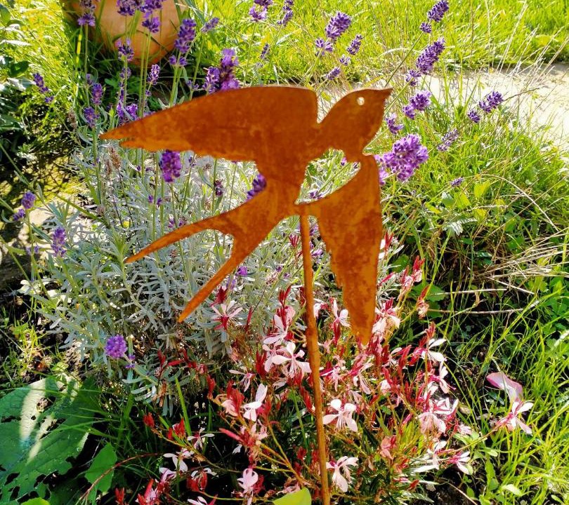 Photo of Others in Ige