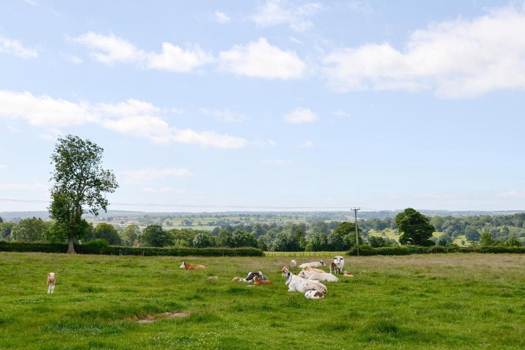 Photo of Others in Ripley