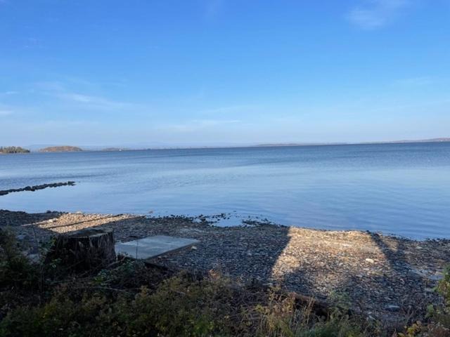 Photo of Others in Malletts Bay