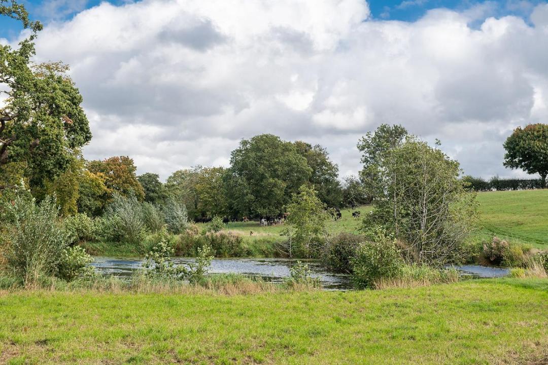 Photo of Others in Market Drayton