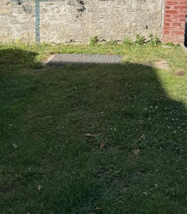 Photo of Others in Houlgate