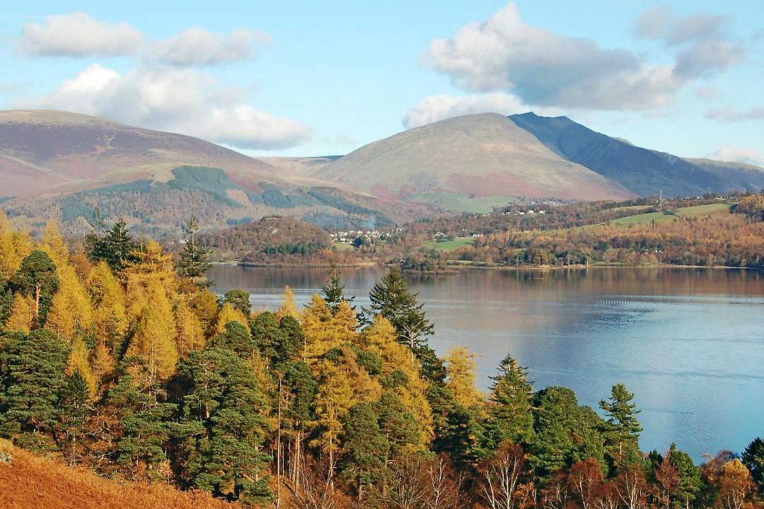 Photo of Others in Thirlmere