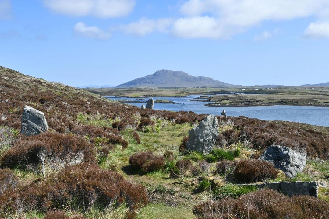 Photo of Others in Sollas