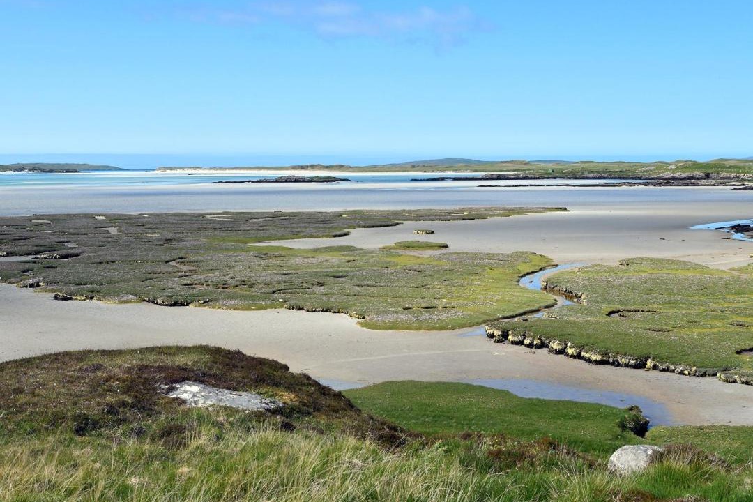 Photo of Others in Sollas