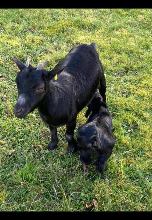 Photo of Others in Auxonne