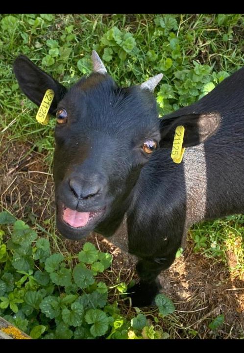 Photo of Others in Auxonne