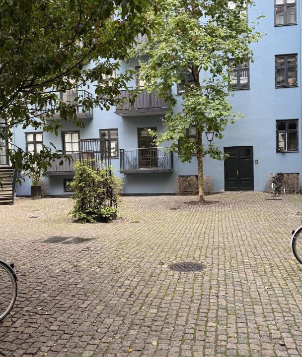 Photo of Others in Nyhavn - Amalienborg