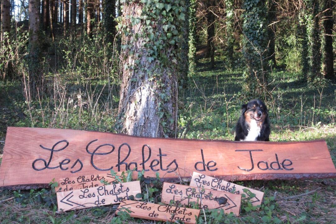 Photo of Others in Legna