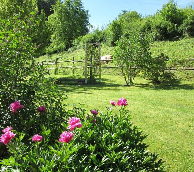 Photo of Others in Legna