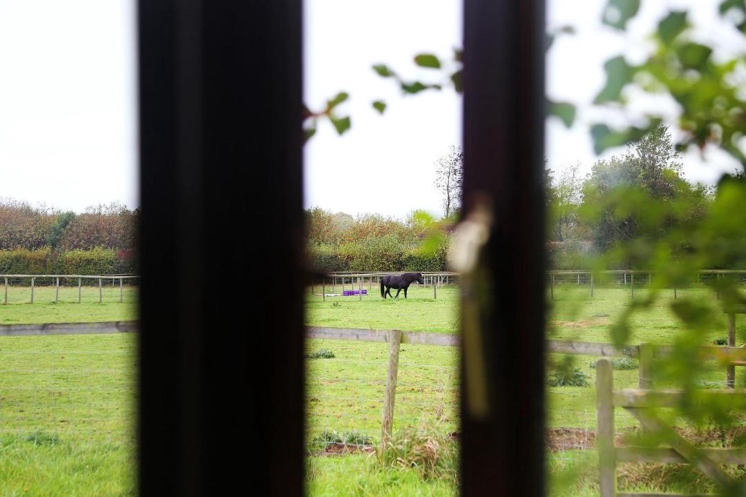 Photo of Others in Maidstone